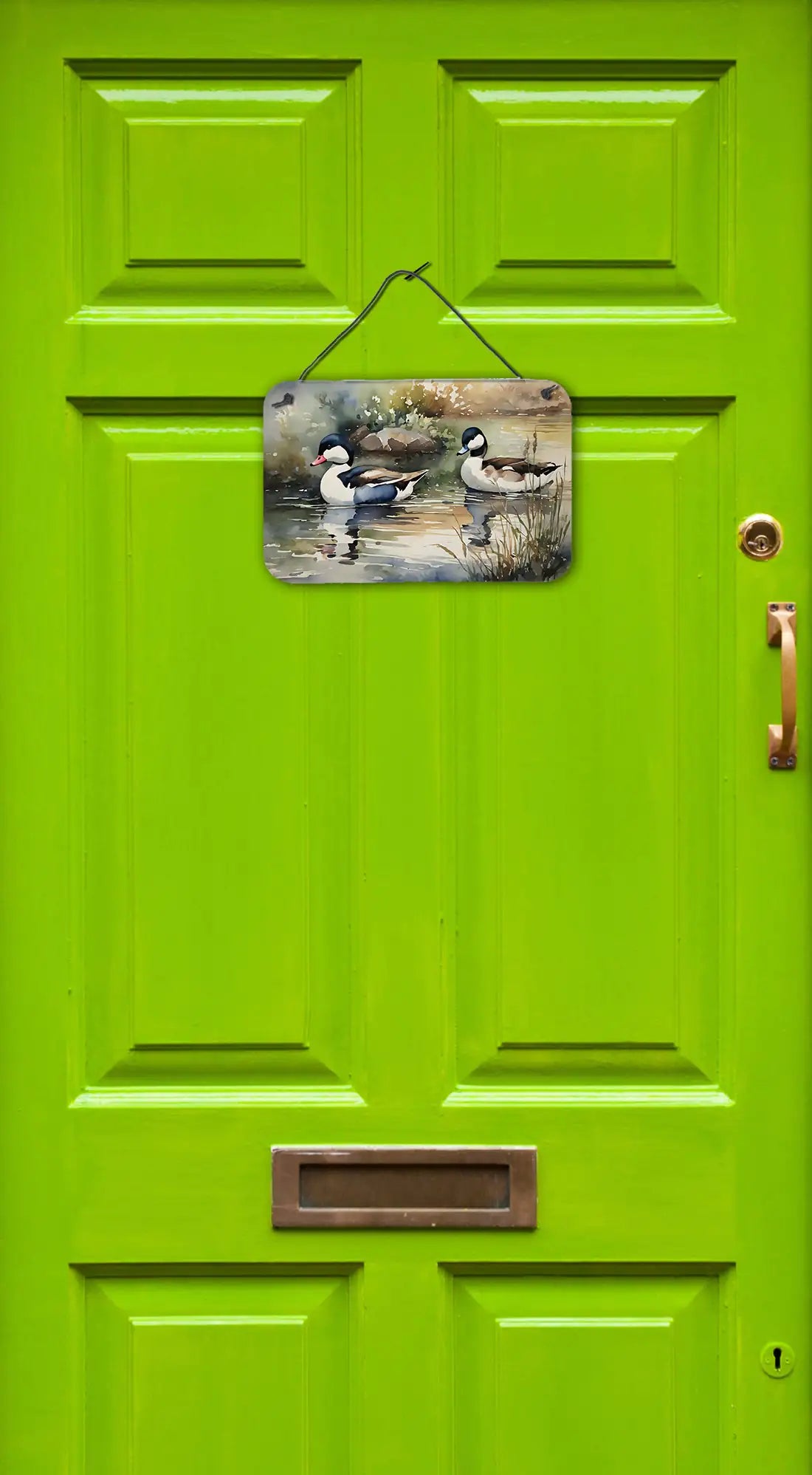 Bufflehead Aluminum Art Prints